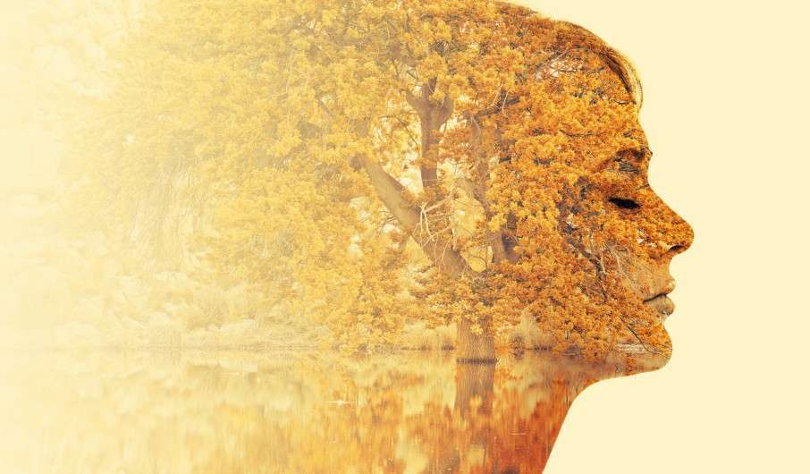 What Has COVID-19 Taught Us About Sustainability and Ourselves? [Updated]