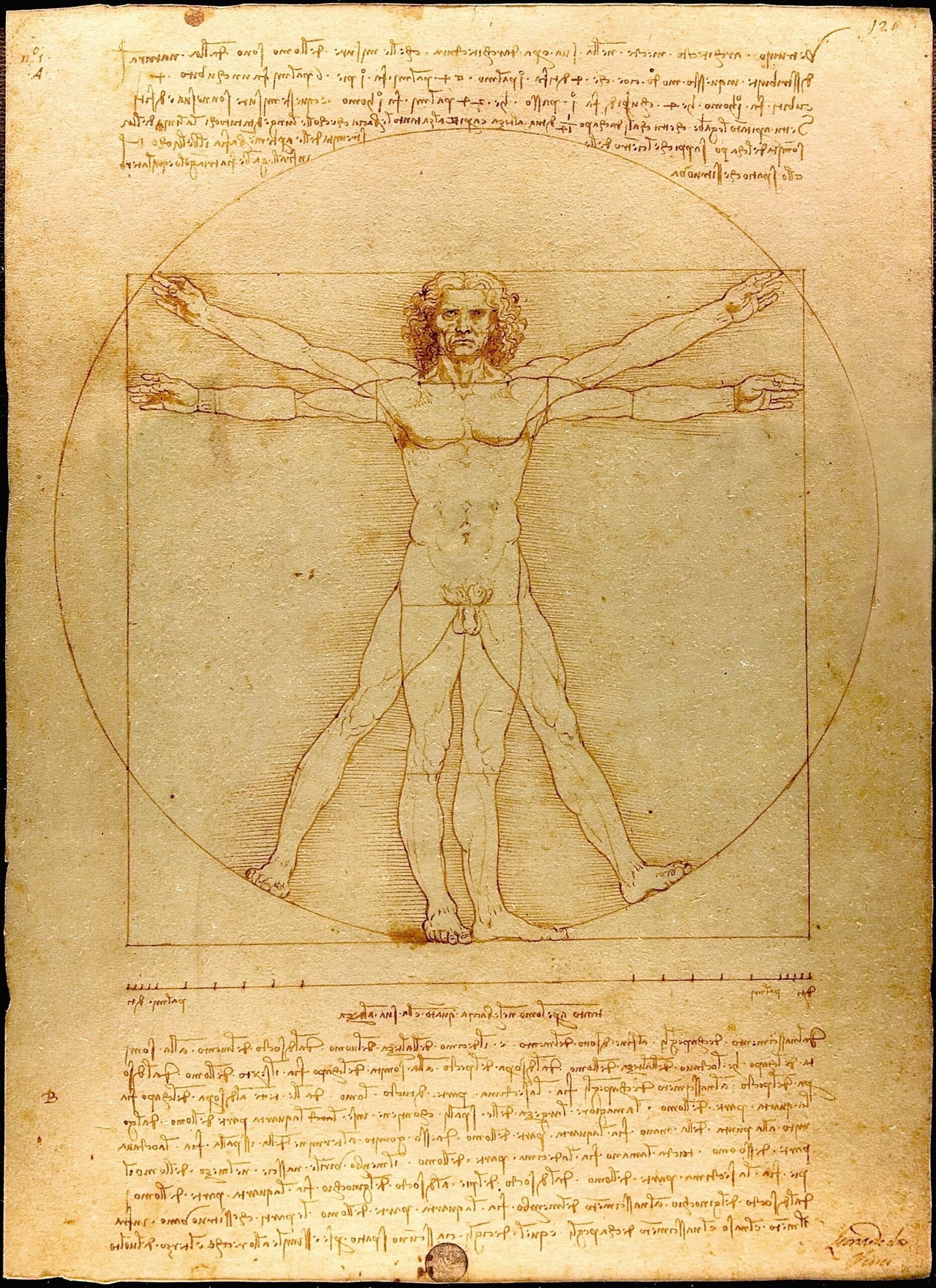 A Brief History of Art: From the Renaissance to Today