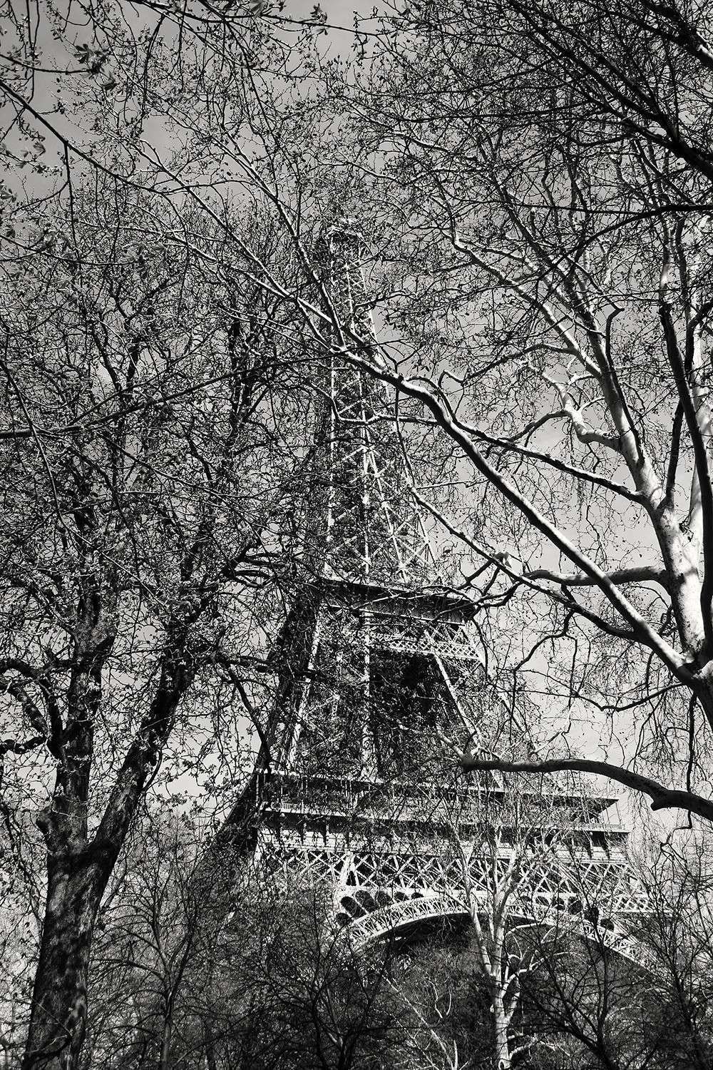 Photography by Miroslavo: Beautiful Accident in Paris Fotografía de Miroslavo: Hermoso accidente en París Fotografie Miroslava: Krásná nehoda v Paříži