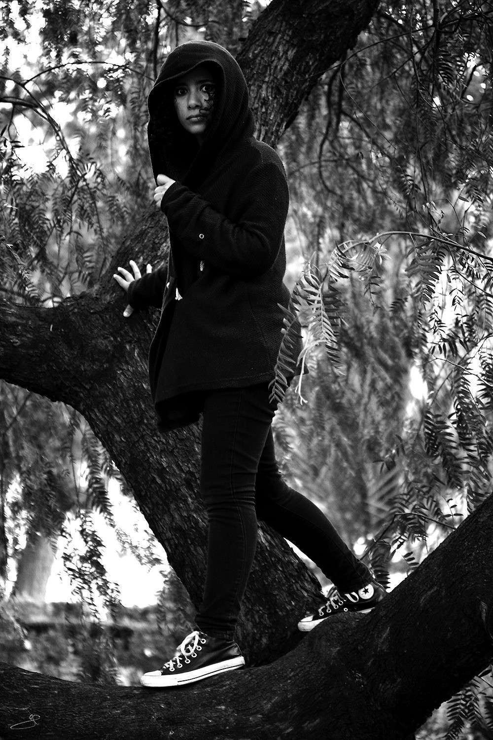 Photograph: Gabriela on a tree