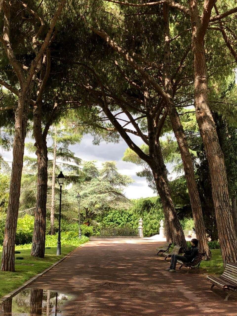 Miroslavo’s Portraits: Gardens of Joan Maragall