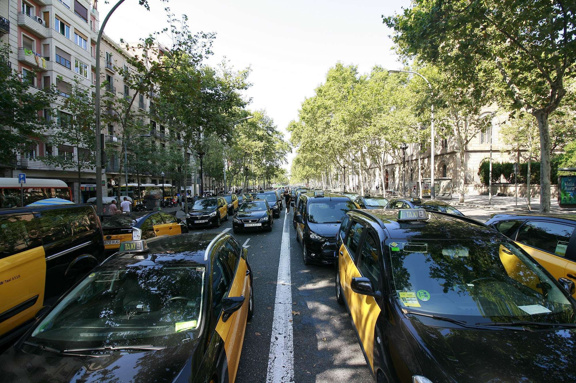 Miroslavo's Photography: Taxis go on on strike in Barcelona