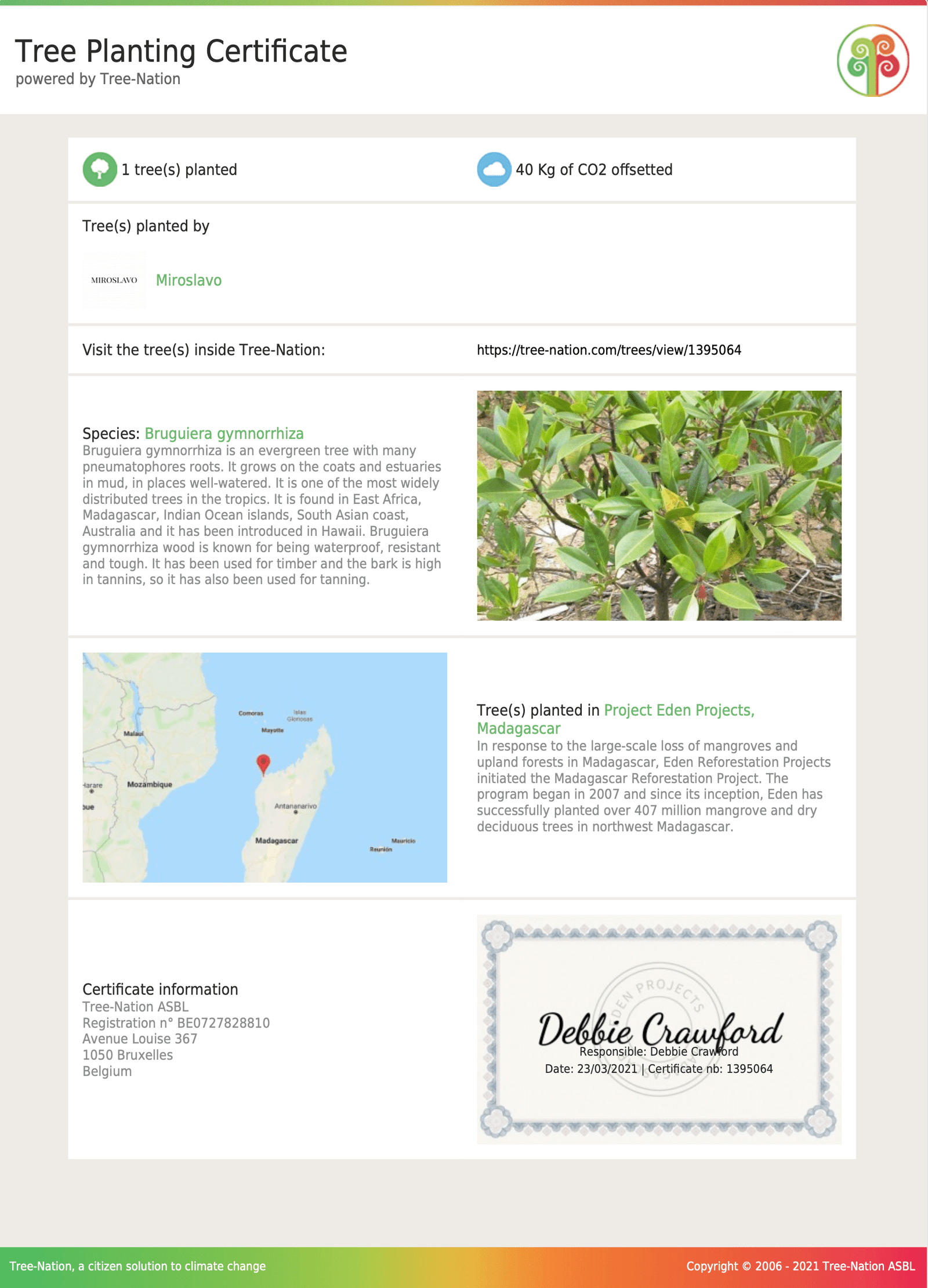 First tree planting certificate by Miroslavo
