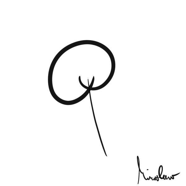NFT collection Heart on a Stick