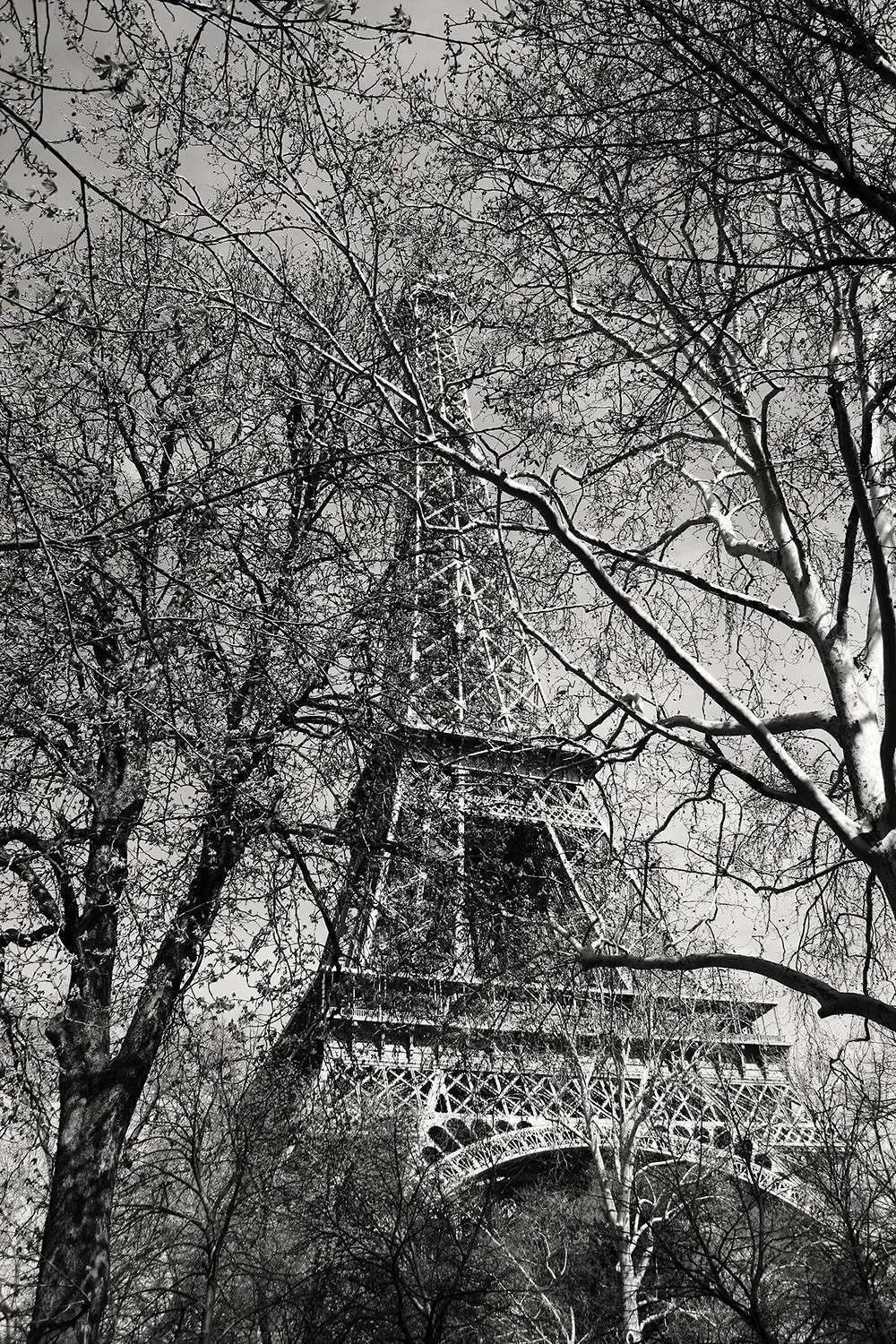 eiffel tower photograph black and white miroslavo