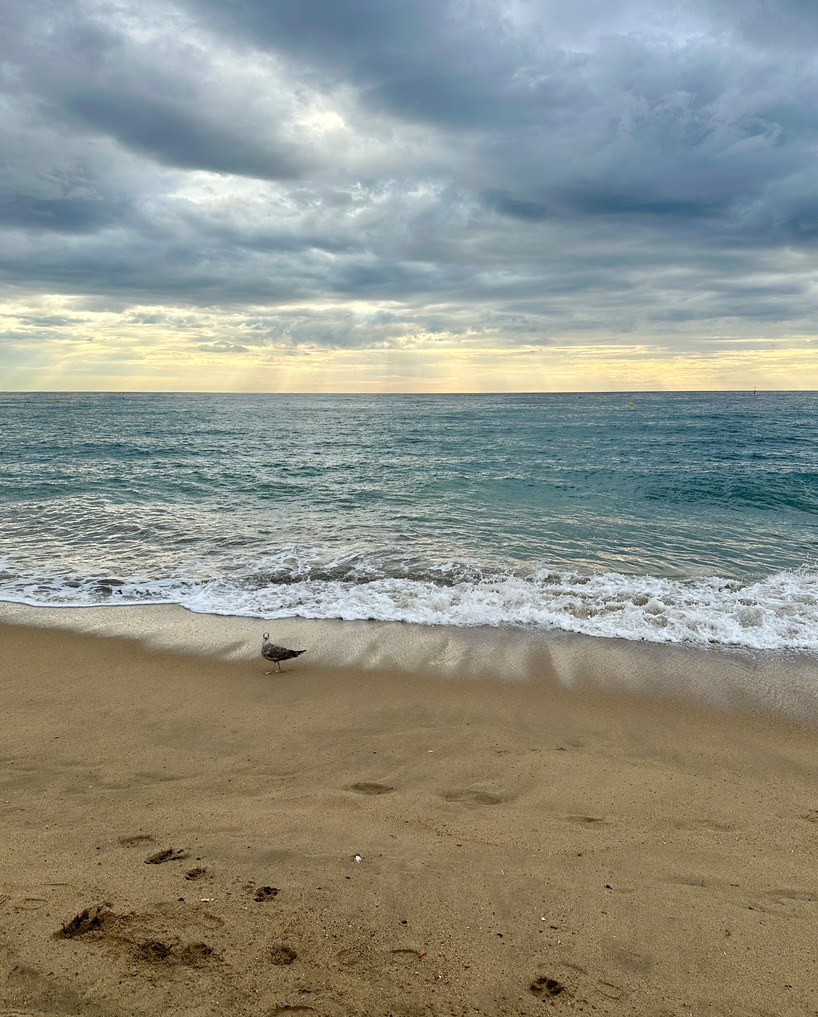 A Holistic Approach to Returning to Work After the Summer Break 5 barcelona summer august