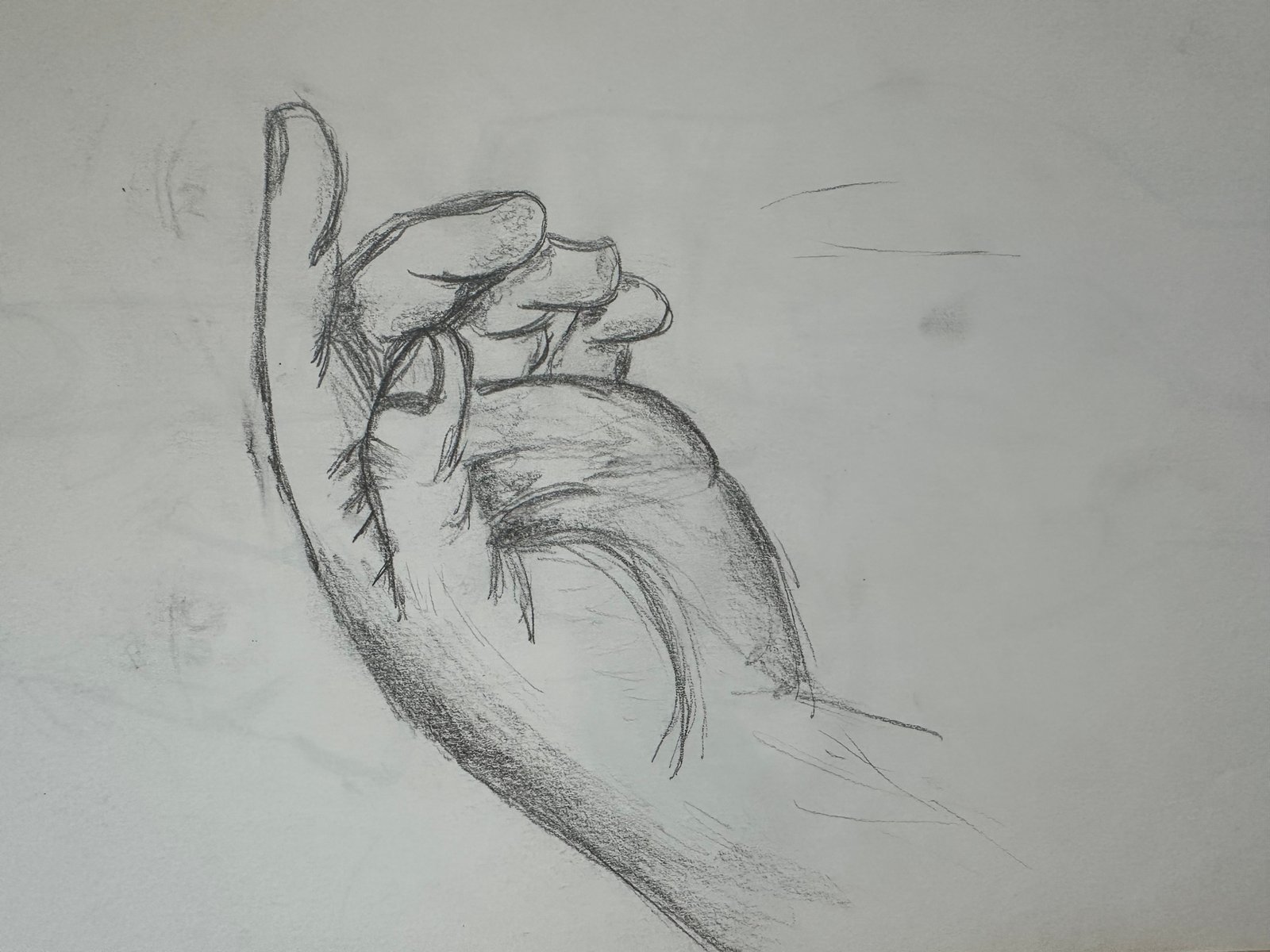 IMG 2958 scaled